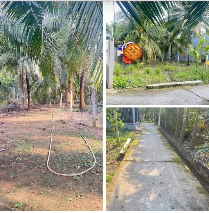 Đất nền mặt tiền đường xe hoa lâm - Tam Phước, Châu Thành 711m² giá 1 tỷ - Đầu tư sinh lời hấp dẫn!