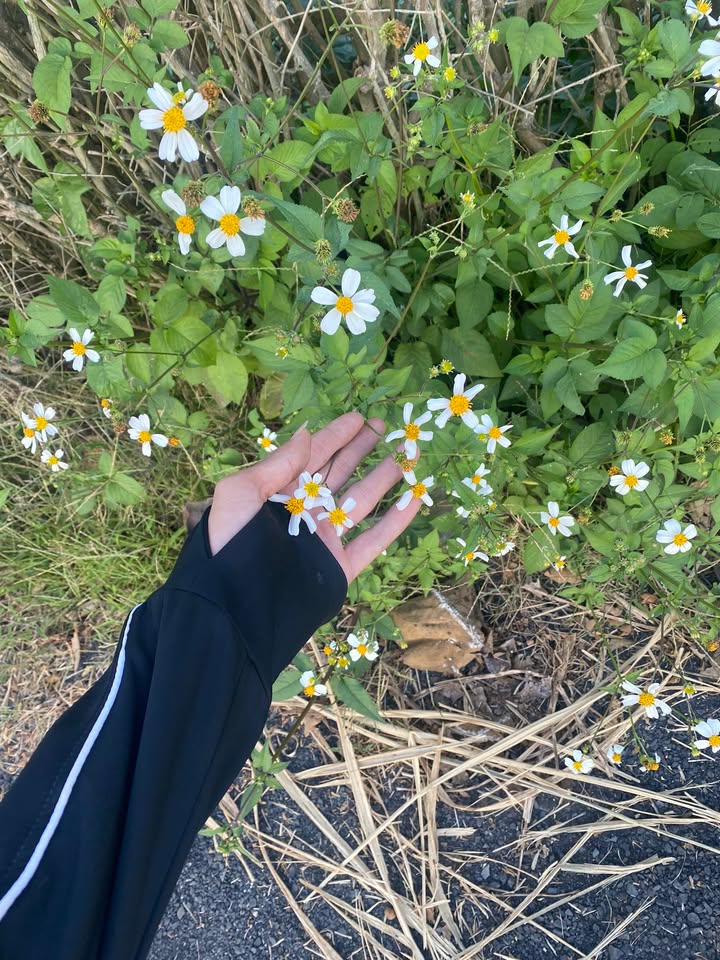 Đất thổ cư mặt tiền Lý Thái Tổ, xã Cư Knia, 200m² giá 2.6 tỷ - Cơ hội đầu tư tuyệt vời!