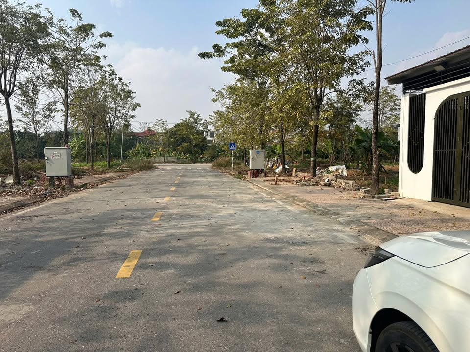 Đất đấu giá tại Đồng Gáo, Vĩnh Yên 100m² - Giá chỉ 2 tỷ!