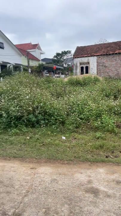 Đất liền kề Phường Tây Hiếu - 427m² giá 3 tỷ - Cơ hội đầu tư tuyệt vời!