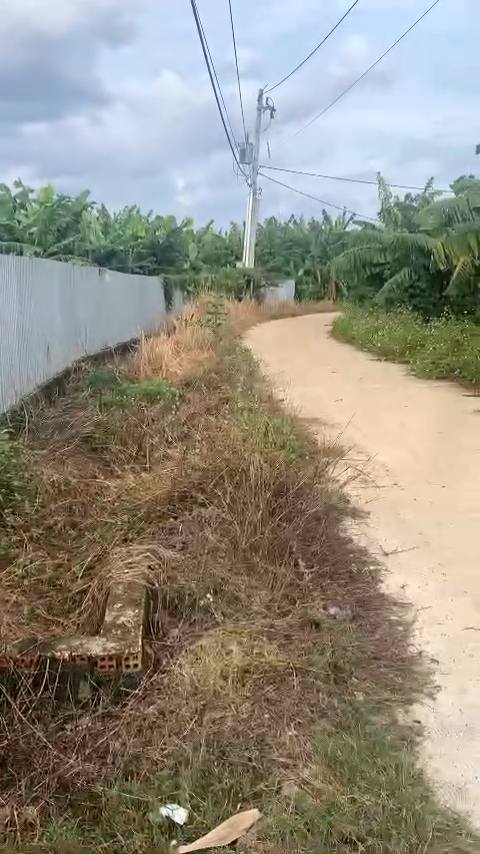 Đất nền 9000m² tại Xã Gia Tân 2, Huyện Thống Nhất - Giá tốt trước Tết!