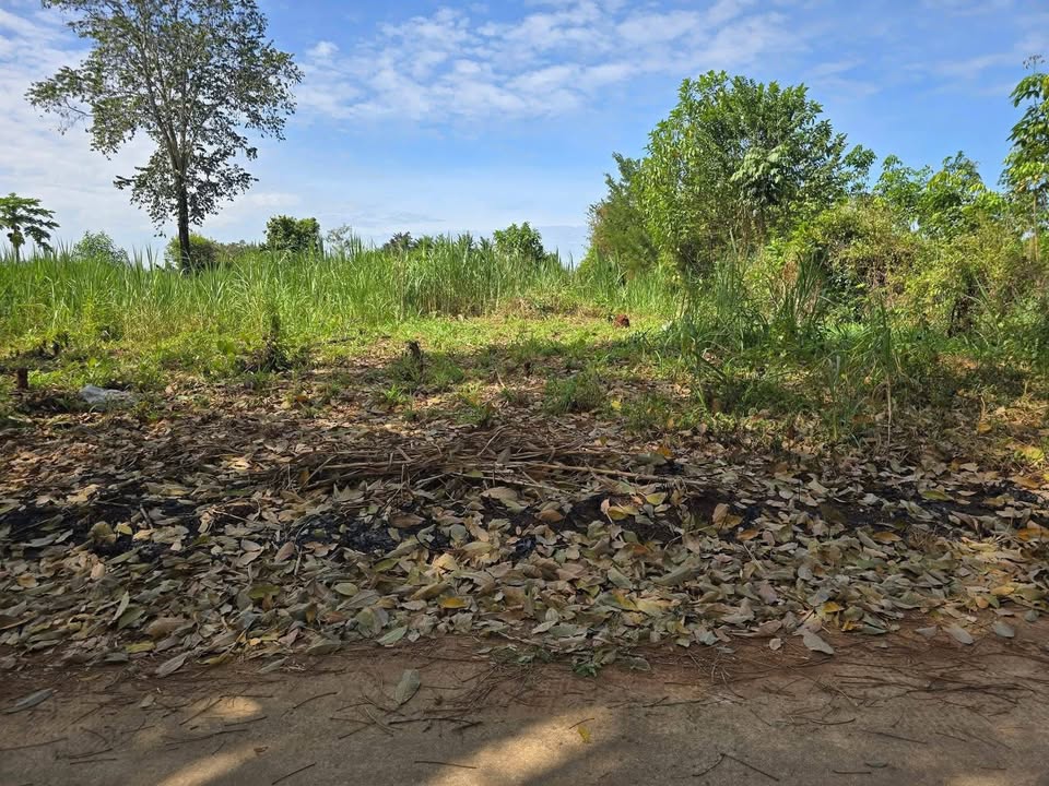 Đất nền 831m² mặt tiền đường Petong giá chỉ 390 triệu - Cơ hội đầu tư hấp dẫn!