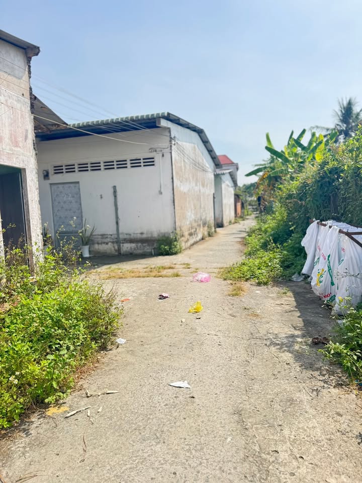 Đất nền 3300m² tại Tân Hương, Tiền Giang - Đầu tư sinh lời cao!