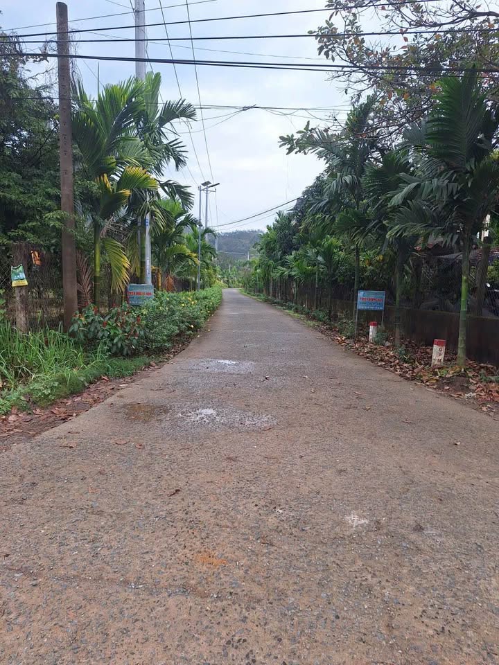 Đất nền và đất vườn tại Đạ Kho, Lâm Đồng - Giá chỉ 4 tỷ - Cơ hội đầu tư hấp dẫn!