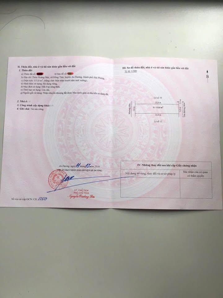 Đất nền trục nhựa Hoàng Mai, Đồng Thái, 115m² giá 3.9 tỷ - Đầu tư sinh lời ngay!