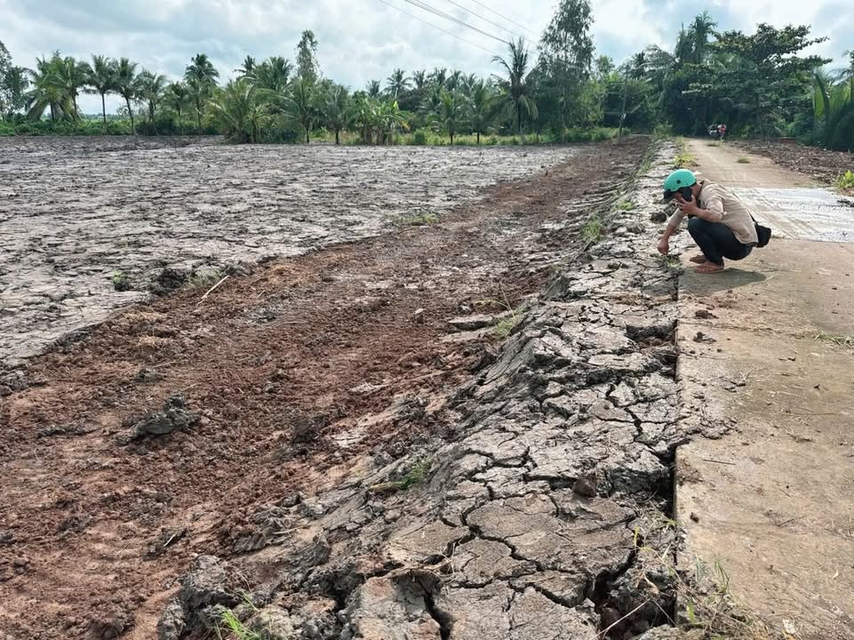 Đất CLN 1050m² tại Ấp Bưng Chông, Tài Văn - Đầu tư sinh lời hấp dẫn!