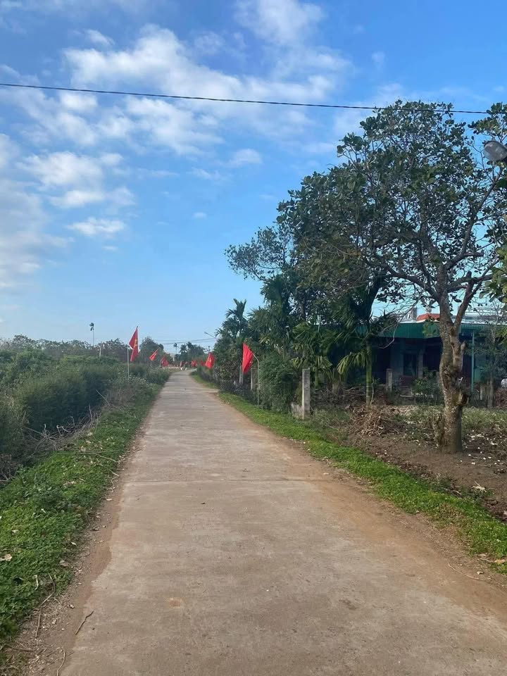 Đất thổ cư 1290m² tại xã Ea Kly, huyện Krông Pắc - Đầu tư sinh lời ngay!