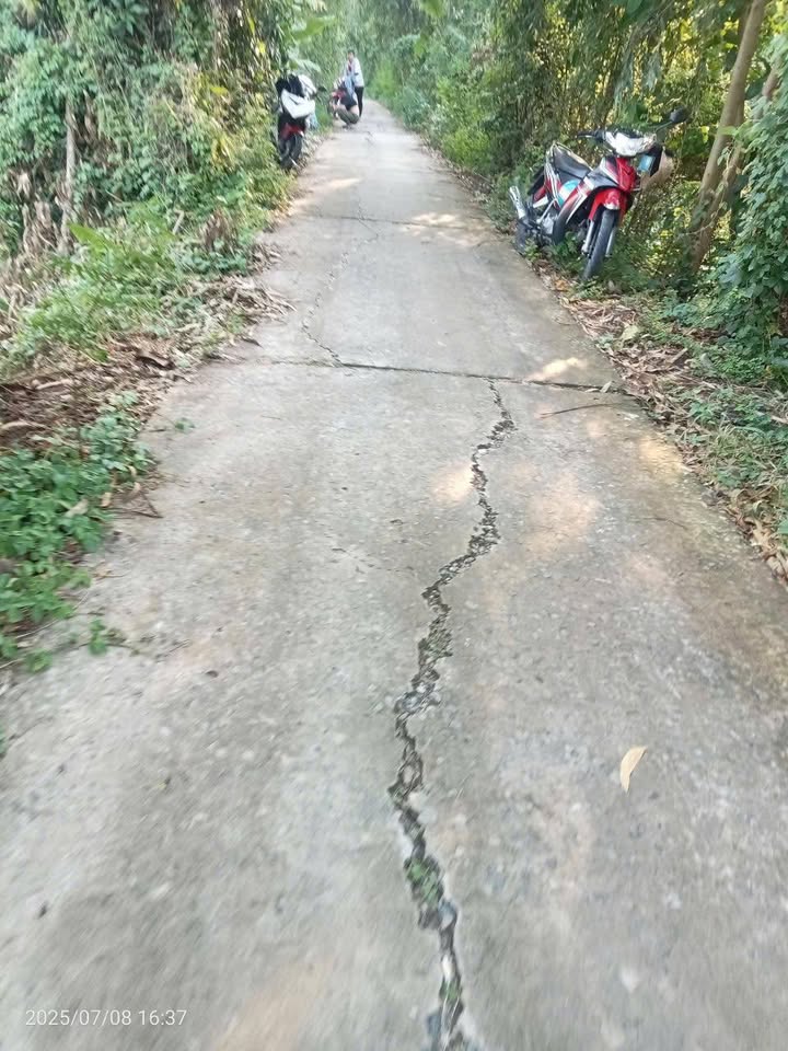 Đất nền xã Phong Mỹ, Huyện Cao Lãnh, 5000m² giá 950 triệu - Cơ hội đầu tư hấp dẫn!