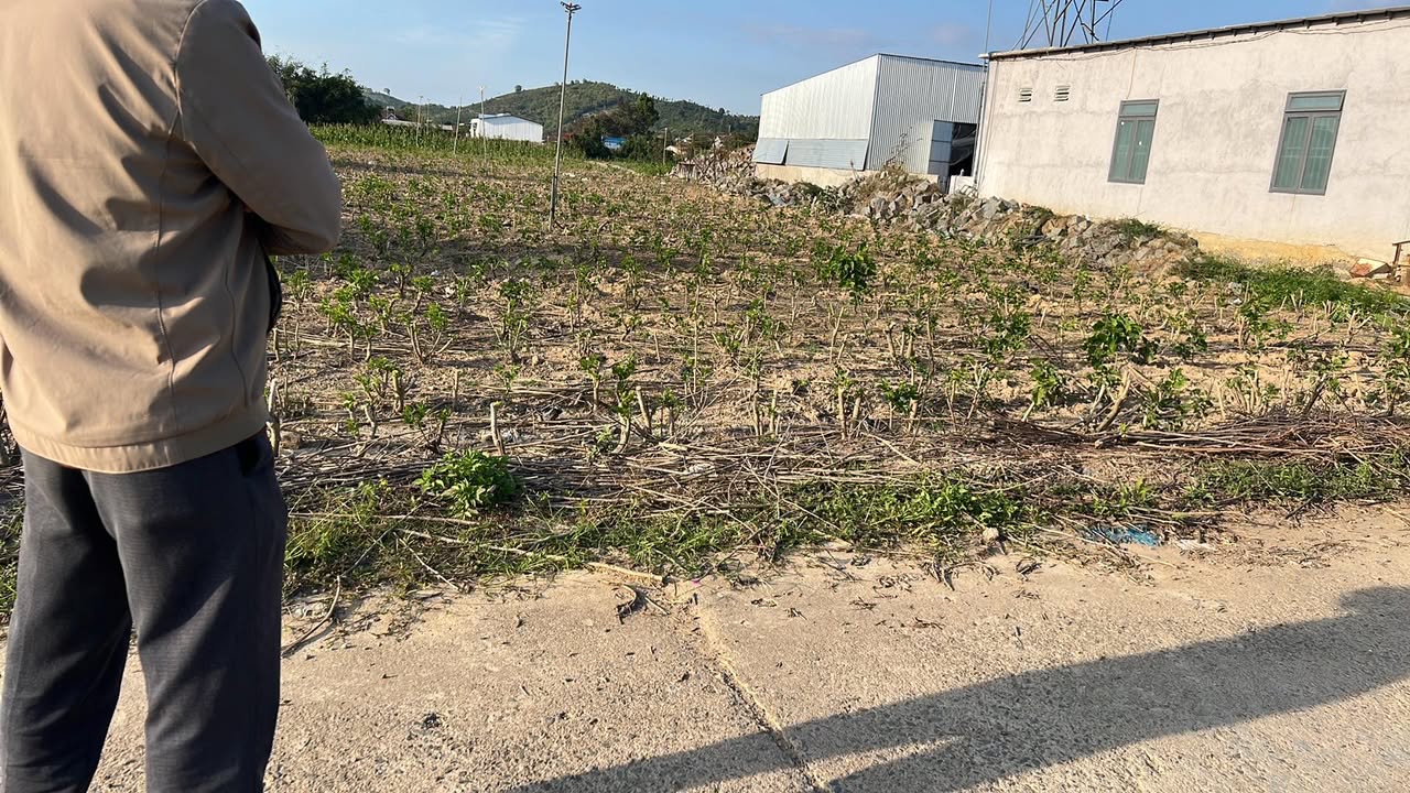 Đất thổ cư xã Đạ Sar, huyện Lạc Dương 1170m² giá 1.1 tỷ - Đầu tư sinh lời hấp dẫn!