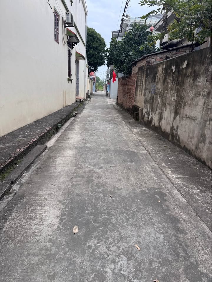 Đất nền 74m² tại Trung tâm Thanh Tương - Giá 2,7 tỷ - Đầu tư sinh lời!