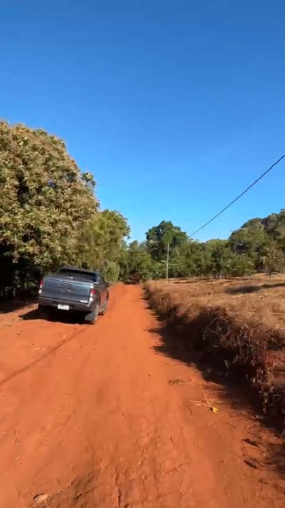 Đất rẫy 4,1ha tại Xã Bom Bo, Huyện Bù Đăng giá chỉ 1,45 tỷ - Cơ hội đầu tư tuyệt vời!