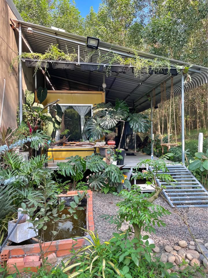 Đất tặng nhà Hố Nai 3, 125m² giá thỏa thuận - Sẵn sàng vào ở ngay!