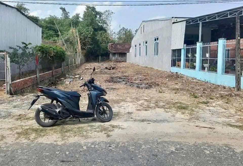 Đất thổ cư 250m² tại Thị trấn Trảng Bom, chỉ 430 triệu - Cơ hội đầu tư tuyệt vời!