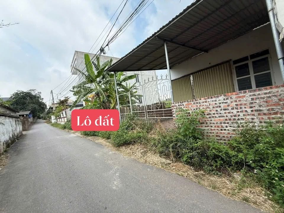 Đất nền xã Tam Quan, huyện Tam Đảo 50m² giá 600 triệu - Đầu tư sinh lời ngay!