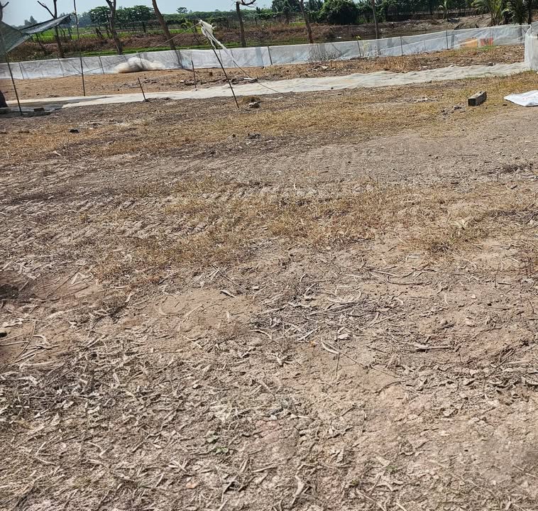 Đất nền giá rẻ gần cầu Gòn, Hòa Bình Thạnh, 120m² - Cơ hội đầu tư tuyệt vời!