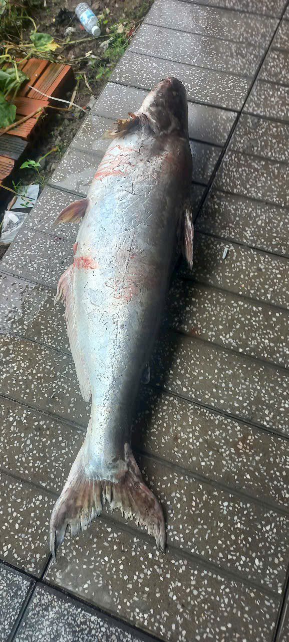 Đất nền khu phố Tân Hòa, phường Ninh Sơn, Tây Ninh 420m² giá 250 triệu - Cơ hội đầu tư lý tưởng!