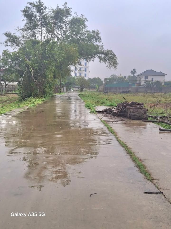 Đất Nghi Trường 118m² giá 1 tỷ - Lô góc 2 mặt tiền, đầu tư sinh lời!