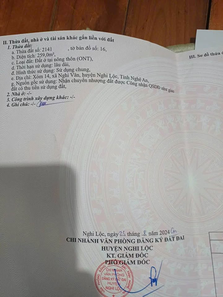 Đất nền Xóm 14, Nghi Văn 259m² giá 800 triệu - Lô góc 2 mặt tiền đẹp!