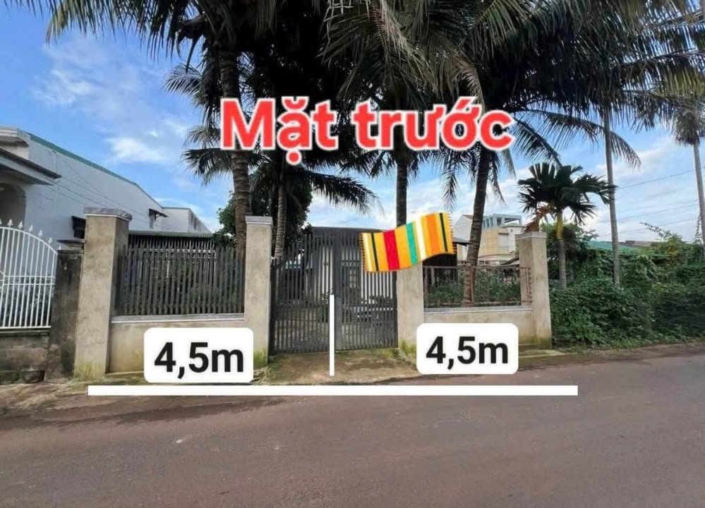 Đất nền TDP 12, Phường Tân An, 60m² - Giá đầu tư hấp dẫn!