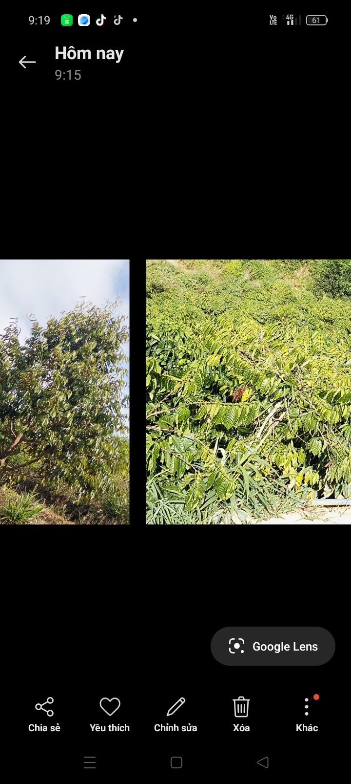 Lô đất Farm thôn 5 Đắk R'Măng 20,000m² giá 1.1 tỷ - Đầu tư sinh lời ngay!