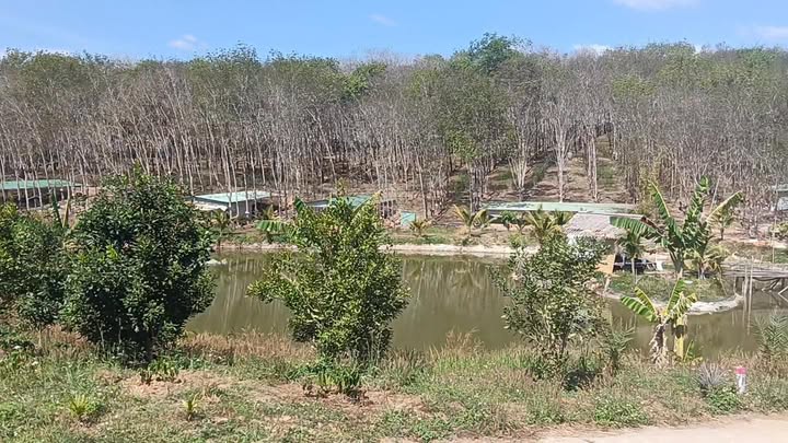 Farm 4,2ha tại Đắk Kan, Ngọc Hồi giá thỏa thuận - Đầy đủ tiện ích kinh doanh