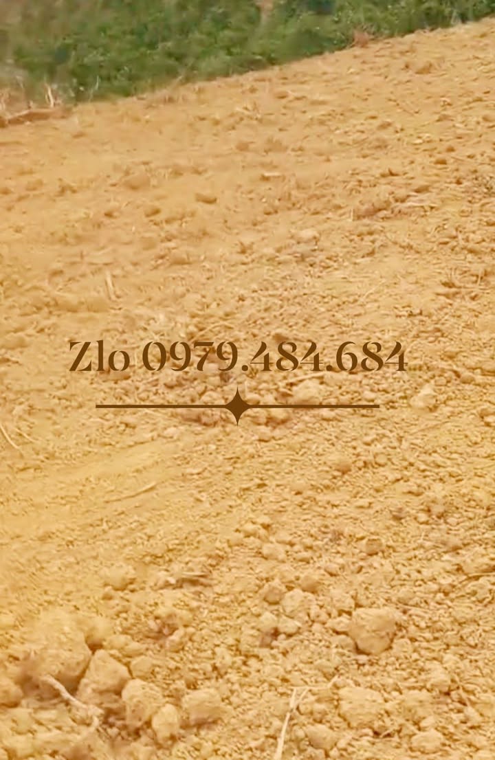 Đất nền 3,5ha tại xã Nâm N'Đir, giá 4,1 tỷ - Đầu tư sinh lời!