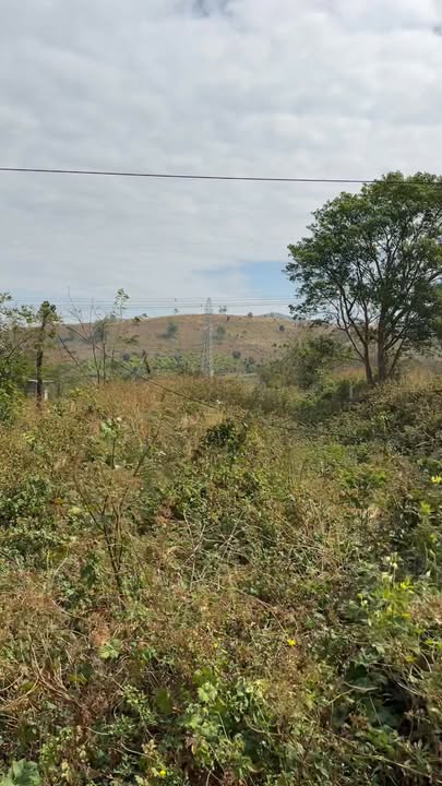 Đất nền Quốc lộ 14a, Xã Chư Don, 900m² giá 95 triệu - Cơ hội đầu tư hấp dẫn!