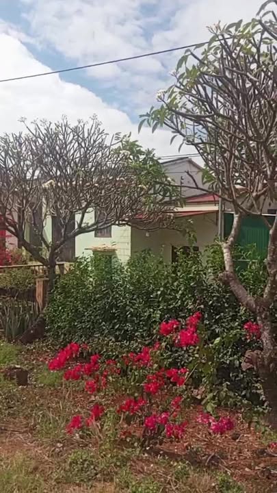 Đất nền mặt đường tỉnh lộ Chư Prông 1550m² giá 116.25 tỷ - Cơ hội đầu tư lớn!