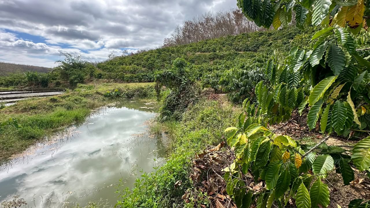 Farm 90,000m² tại Thôn 3, Xã Ngok Wang, Đắk Hà - Đầu tư sinh lời với 1 tỷ VND!