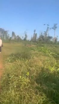 Đất nông nghiệp cho thuê tại Hòa Thành, Đắk Lắk - 200 ha giá chỉ 6 triệu/ha/năm!