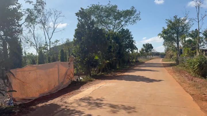 Đất nền Đức An 750m² giá 7 triệu/m² - Cơ hội đầu tư hiếm có!