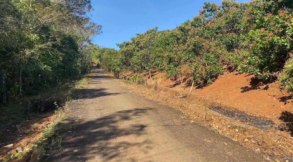 Đất thổ cư 29m² tại Thôn Đất Điều, Bù Gia Mập - Giá 450 triệu, thương lượng tốt!