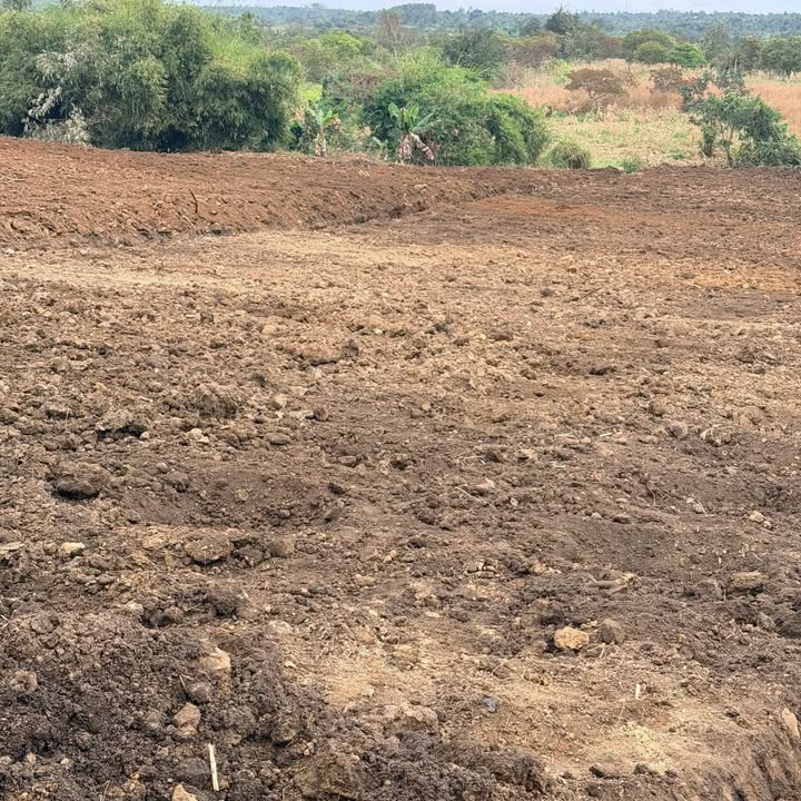 Đất nông nghiệp 20.000m² xã Ea H'leo giá 800 triệu - Đầu tư hiệu quả!