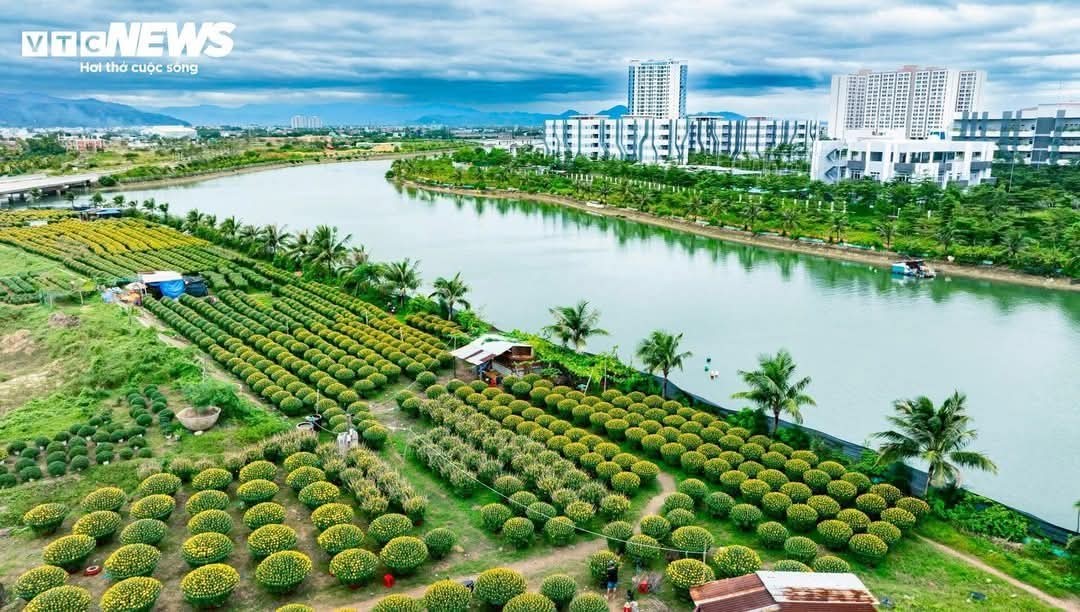 Đất nền đẹp tại Đê Đông, Quy Nhơn 67.5m² giá 2 tỷ - Sổ hồng chính chủ, thương lượng ngay!