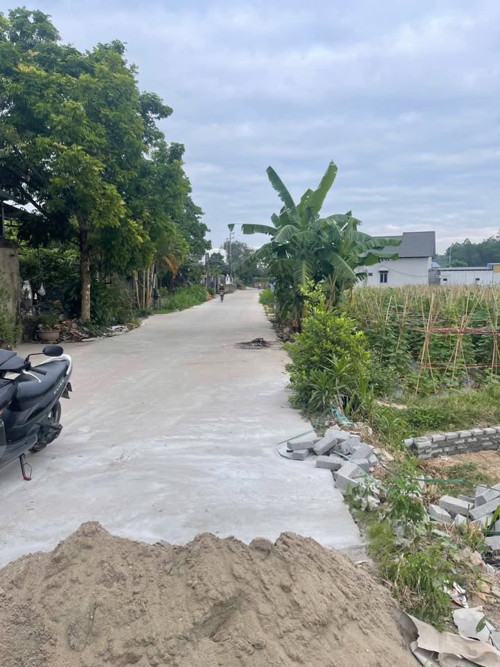 Đất nền phường Tân Hương, 112m² giá 1 tỷ - Đón sóng dự án Cityhôm!