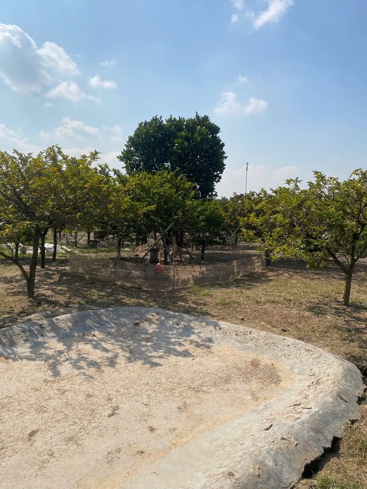 Đất nông nghiệp Tràng Lương, Đông Triều 2744m² giá 1 tỷ - Tiềm năng phát triển cao!