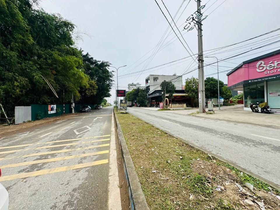 Đất phân lô chính chủ tại Đồng Quao, Tam Dương 100m² - Đầu tư sinh lời tuyệt vời!