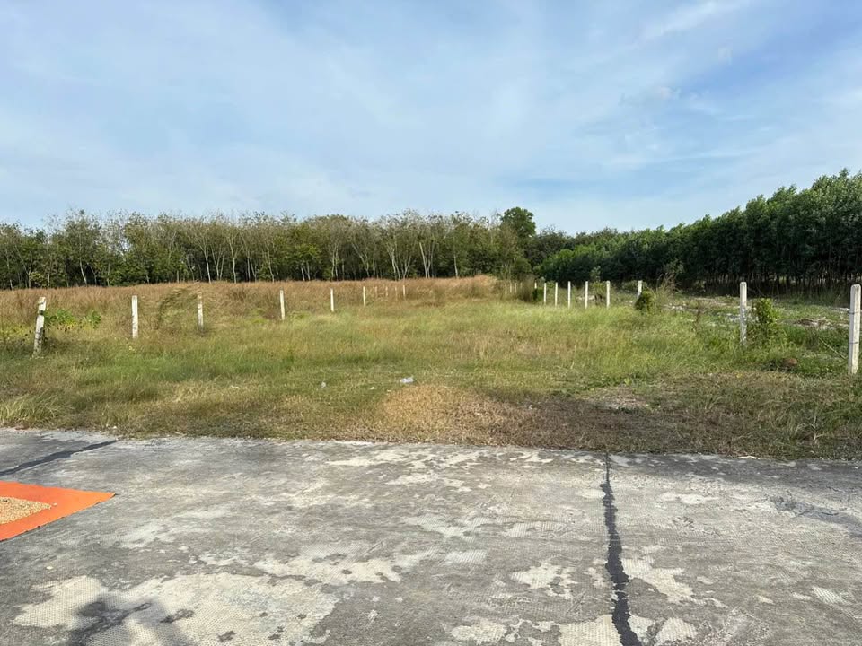 Đất nền Chơn Thành, Bình Phước 250m² giá 210 triệu - Cơ hội đầu tư tuyệt vời!