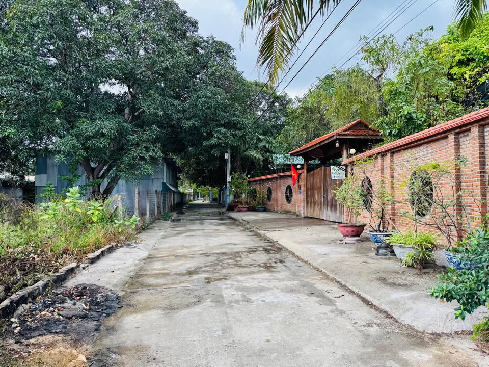 Đất nền 2 mặt tiền đường Hồng Gấm, Phan Rang-Tháp Chàm 250m² - Đầu tư sinh lời ngay!