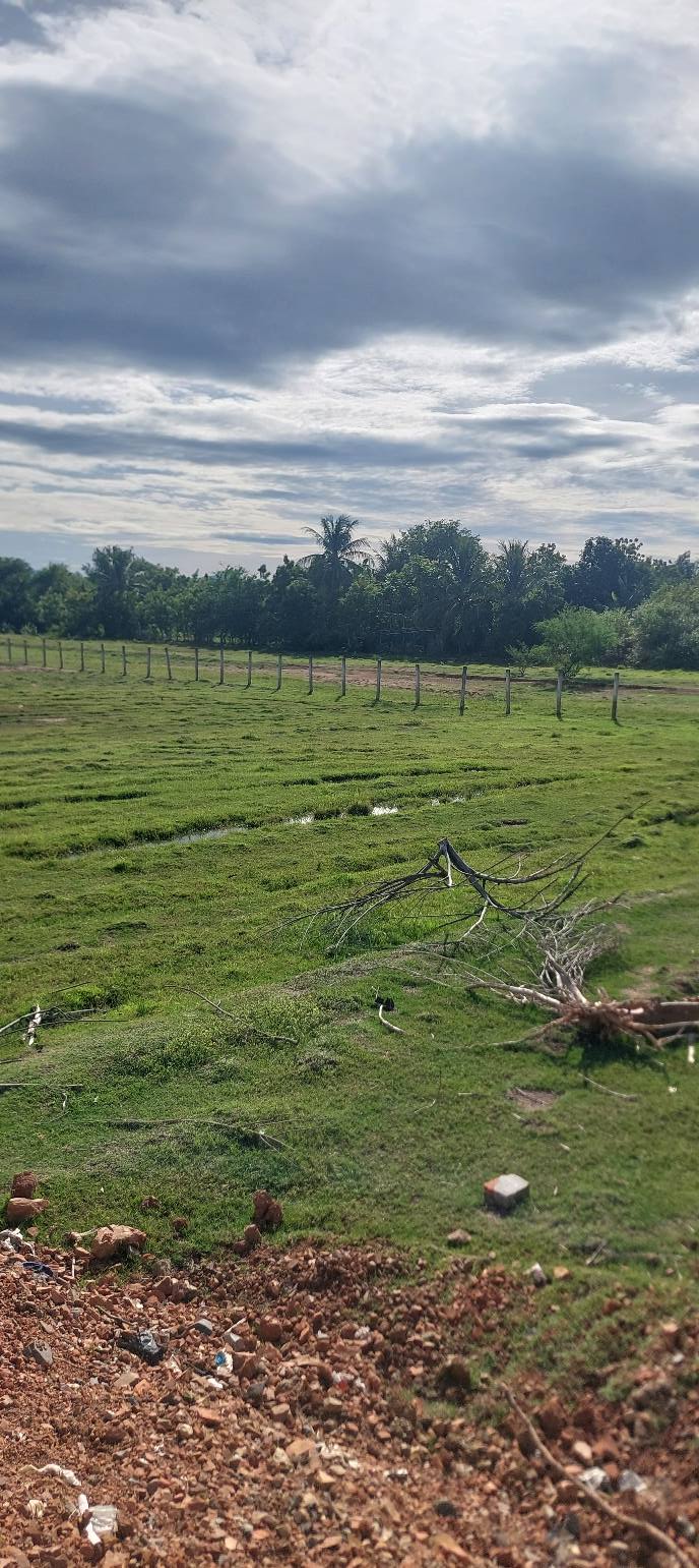 Đất mặt tiền đường tỉnh lộ 708 Phước Hậu 7464m² - Khu dân cư đông đúc