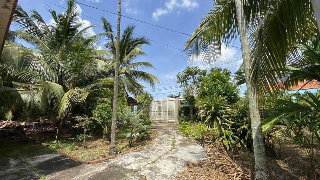 Lô Đất Thổ Cư 3000m² Xã Bình Thạnh, Long An giá 6 tỷ - Đầu tư sinh lời ngay!