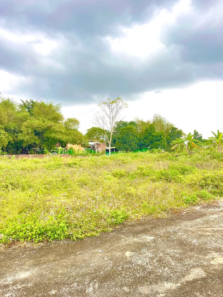 Đất nền 120m² xã Hòa Vang giá 700 triệu - Cao ráo, không ngập lụt!