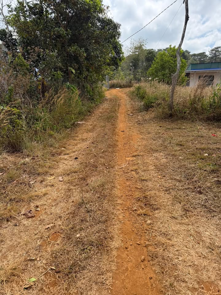 Đất thổ cư thôn 9, xã Nâm N'Jang, 10.000m² giá 1.85 tỷ - Pháp lý rõ ràng!