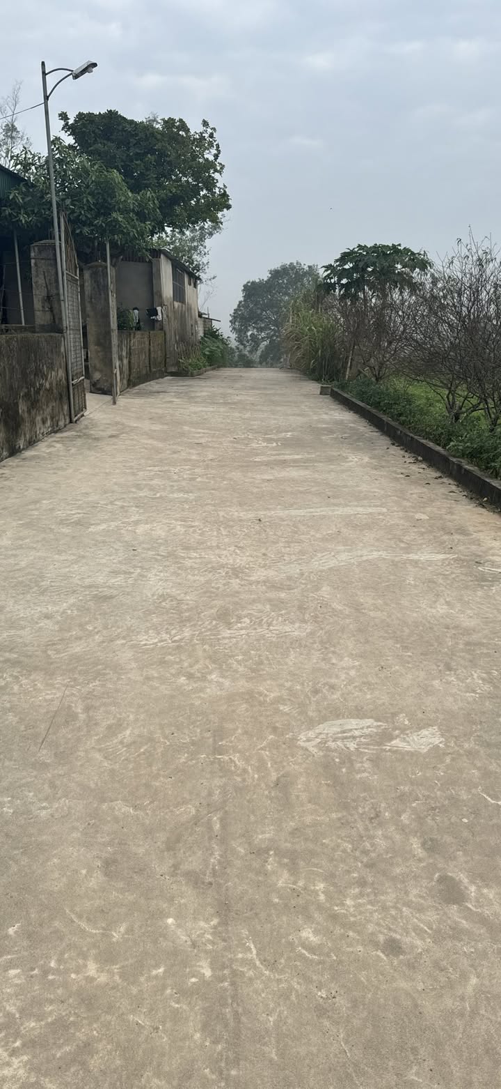 Đất nền Xóm 5, Phường Nghi Phú, 200m² giá 600 triệu - Cơ hội đầu tư hấp dẫn!