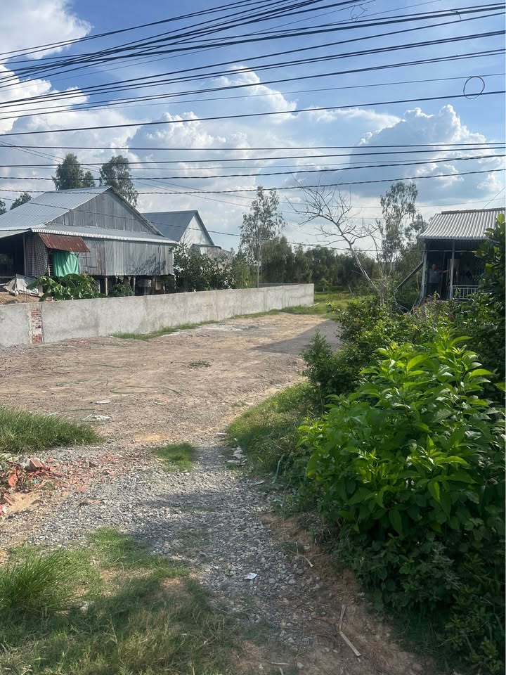 Đất nền 2000m² tại Tỉnh lộ 843, Tam Nông, giá chỉ 1.05 tỷ - Cơ hội đầu tư tuyệt vời!