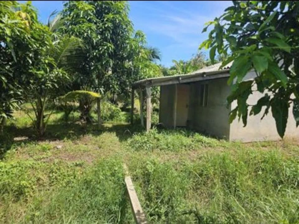 Đất Farm 4.795m² tại Ấp Thanh Xuân 1 - Bến Tre, Giá 2.75 tỷ - Đầu tư sinh lời!