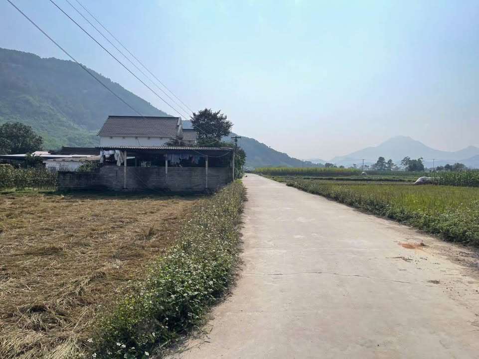 Đất thổ cư tại Bình Sơn, Sông Công, Thái Nguyên 400m² giá chỉ 9xx triệu - Cơ hội đầu tư hiếm có!