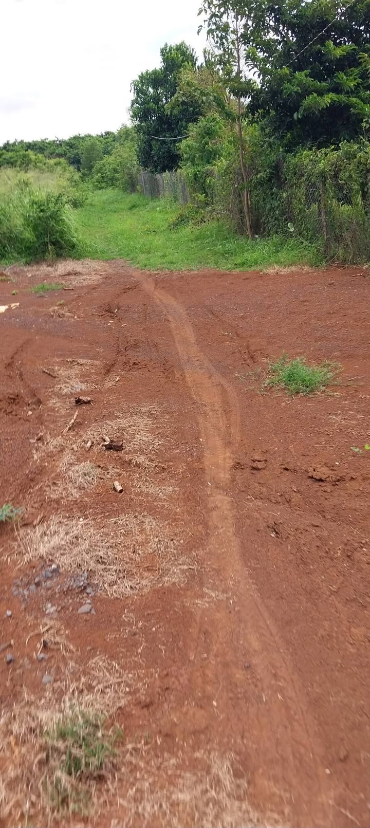 Đất nền 1045m² tại Xã Long Tân giá thỏa thuận - Sổ đỏ chính chủ sẵn sàng sang tên!