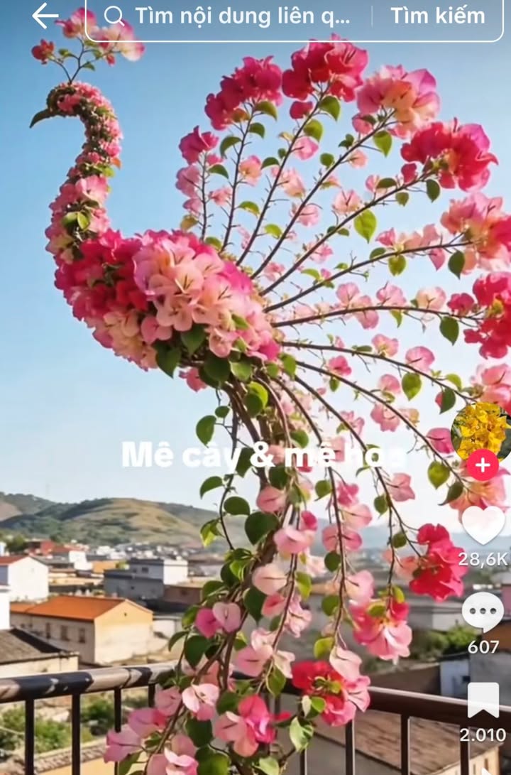 Đất mặt tiền HL2 Long Phước, TP Bà Rịa 599m² - Đầu tư sinh lời tốt!