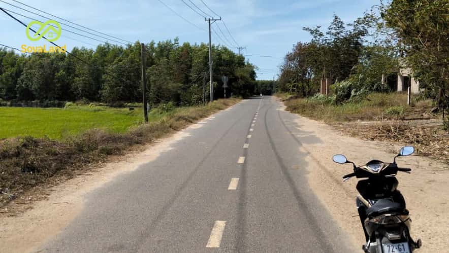 Đất Farm Láng Dài, 5000m² Giá Thỏa Thuận - Cơ Hội Đầu Tư Bền Vững